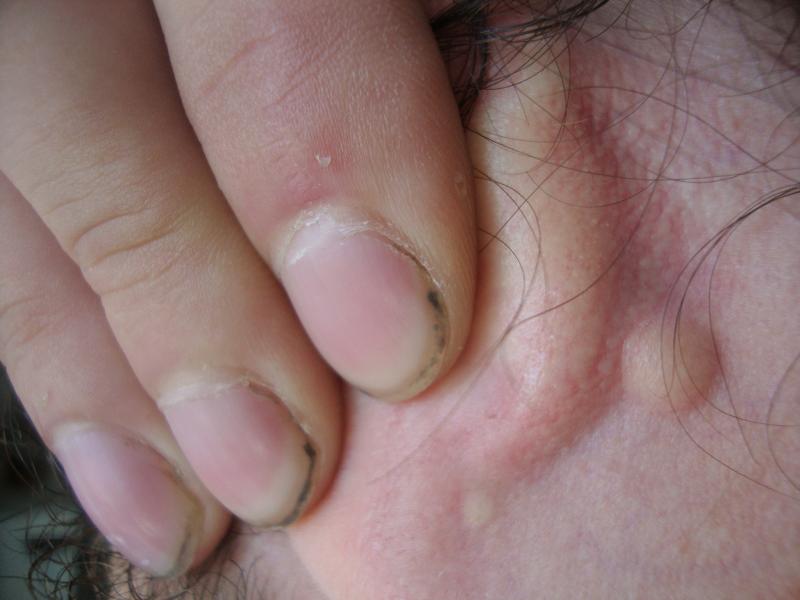 фото - DSC02611.JPG