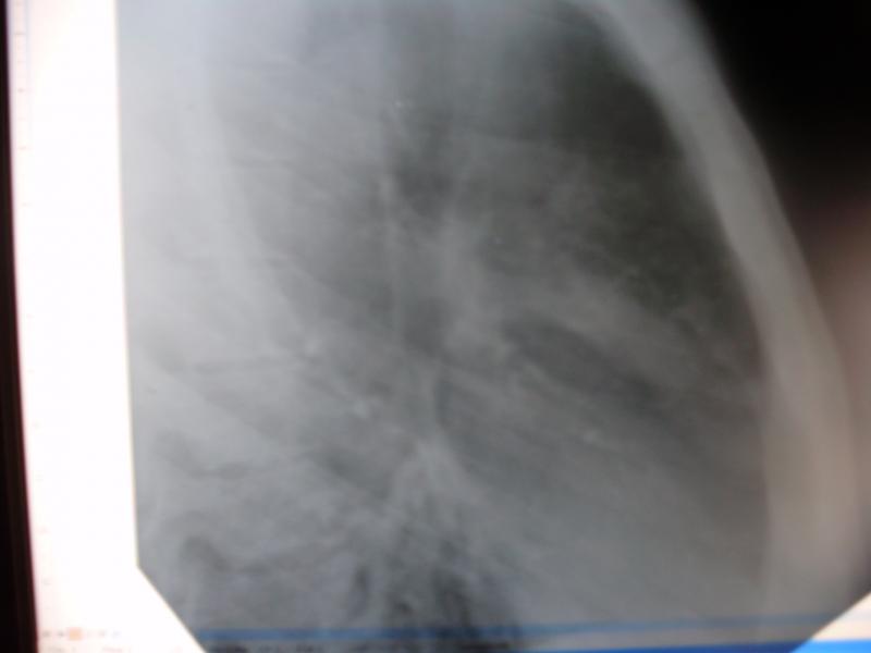 13.01.11 - 13.01.11_sboku.JPG