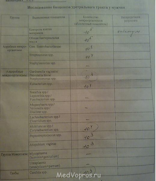 Исследование биоценоза уретрального тракта у мужчин - 29062012343.jpg