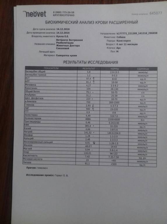 судороги - IMG-20161214-WA0003.jpg