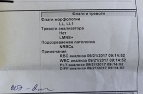 потология NRBCs, LL, LL1 - 11F5156B-F628-444E-91CE-838083CB3435.jpeg