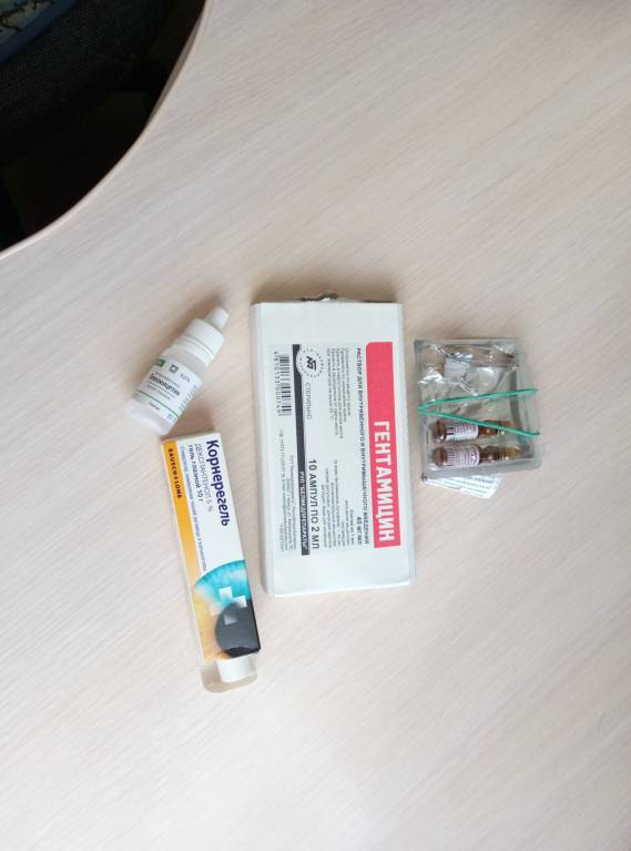 Помогите спасти глаз доберману Пожалуйста  - P80404-111452.jpg