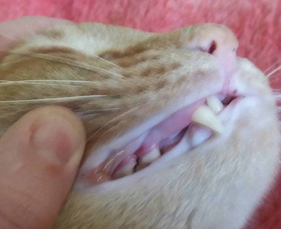 10 мая - 20180518_104029.jpg