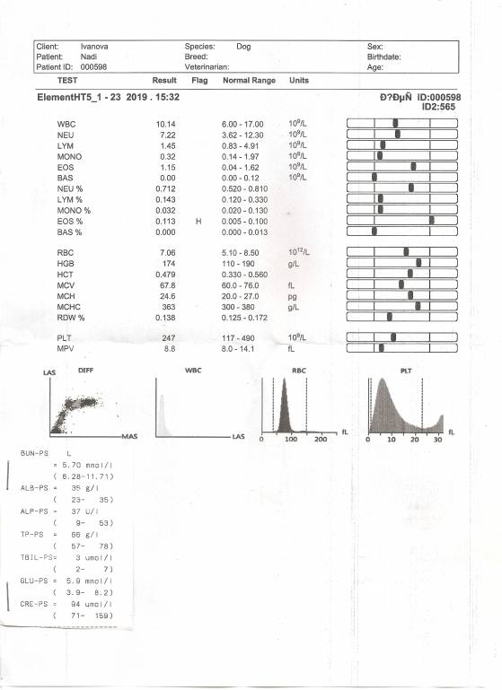 анализы крови - анализ крови.jpg