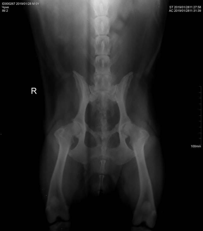 Артрит - 1.jpg