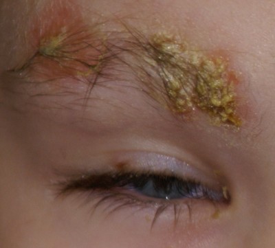 Утро 01.12.08 года