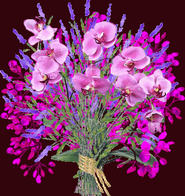 Болит позвоночник. - 270ed4445c42.gif