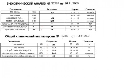 Плохая кровь у котика. - .JPG