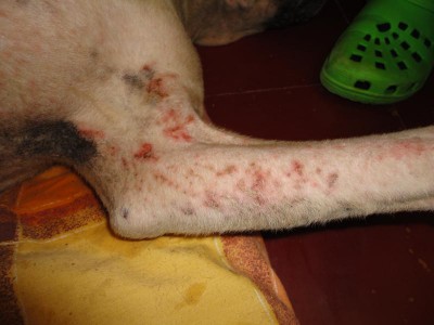 Помогите советом - DSC01649.JPG