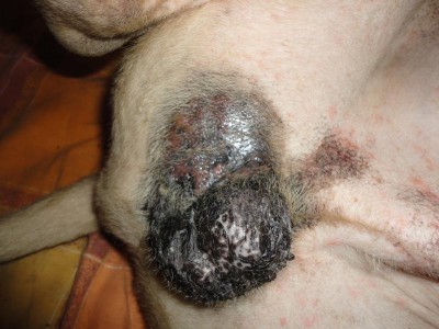 Помогите советом - DSC01650.JPG