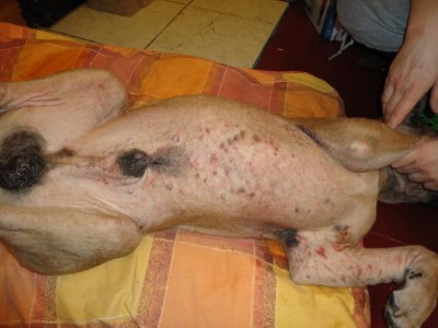 Помогите советом - DSC01648.JPG