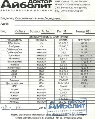 Анализ биопсии крови.