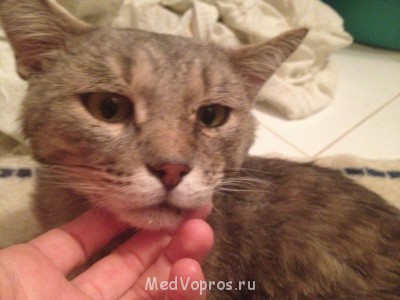 А так сейчас