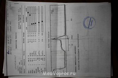 Повышенная мочевина в крови у кошки - IMG_4279.JPG