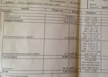 Мезаденит - image.jpg