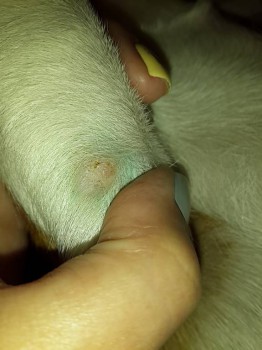 Разница в 4 дня.