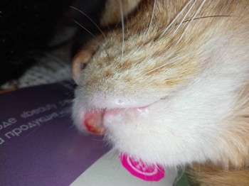 Помогите пожалуйста - IMG_20170304_164650_1.jpg