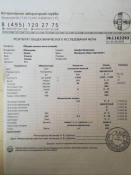 Сахарный диабет у кота - 15227658561881227206843.jpg