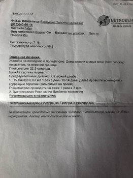 Сахарный диабет у кота - 7A535661-7ED5-4002-A803-9C240EAC9639.jpeg