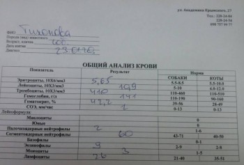 Хронический кашель у собаки. - 20200205_120357.jpg