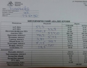 Хронический кашель у собаки. - 20200205_120339.jpg