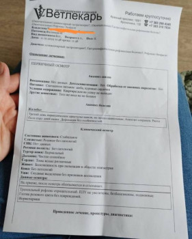 Позывы к рвоте без рвоты, кашель - IMG_20221012_085651_edit_429748298057833.jpg